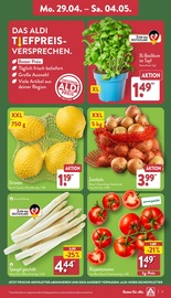 Aktueller ALDI Nord Prospekt mit Tomaten, "Aktuelle Angebote", Seite 3