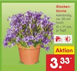 Aktuelle Blumen Angebote bei Netto Marken-Discount in Bottrop Aktuelles Glockenblume Angebot bei Netto Marken-Discount in Bottrop ab 3,33 €