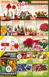 Ähnliche Angebote wie Silvesterknaller im Prospekt "Mehr fürs Geld" auf Seite 14 von Norma in Göppingen