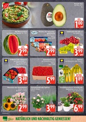 Ähnliche Stiefmütterchen Angebote im Prospekt "Top Angebote" von EDEKA in Seevetal Ähnliche Angebote wie Stiefmütterchen im Prospekt "Top Angebote" auf Seite 6 von EDEKA in Seevetal