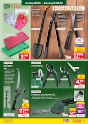 Teleskop im Netto Marken-Discount Prospekt in Lüneburg Aktueller Netto Marken-Discount Prospekt mit Teleskop, "Aktuelle Angebote", Seite 47