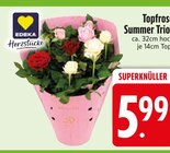 Topfrosen Summer Trio von EDEKA Herzstücke im aktuellen EDEKA Prospekt für 5,99 €