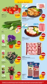 Aktueller Penny Prospekt mit Schnitzel, "Wer günstig will, muss Penny.", Seite 26