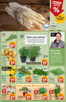 Spargel im REWE Prospekt "Dein Markt" mit 30 Seiten (Ingolstadt)