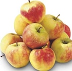 Tafeläpfel Elstar bei combi im Glandorf Prospekt für 1,99 €