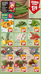 Pflanzen Angebot & Preis im aktuellen REWE Prospekt Pflanzen Angebot im aktuellen REWE Prospekt auf Seite 9