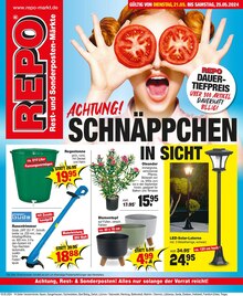Regentonne im Repo Prospekt "Aktuelle Angebote" mit 16 Seiten (Hildesheim)