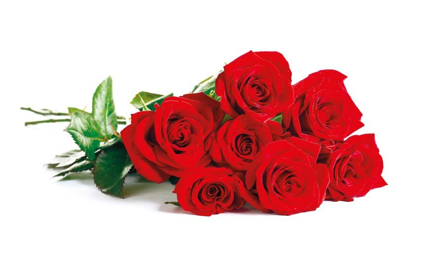 Auchan Épinal - BOUQUET DE 7 ROSES TRÈS GROS BOUTONS Promo BOUQUET DE 7 ROSES TRÈS GROS BOUTONS dans le catalogue Auchan Auchan à Épinal