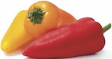 Aktuelle Paprika Angebote bei combi in Paderborn Aktuelles Paprika Mix Mini Angebot bei combi in Paderborn ab 1,88 €