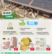 Wurst im Marktkauf Prospekt "Aktuelle Angebote" mit 45 Seiten (Ulm)