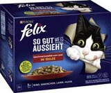 Katzennassfutter im Angebot bei GLOBUS in Willich Katzennassfutter Angebote von Purina Felix bei GLOBUS Willich für 3,88 €