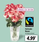 Rosen von Fairtrade für 4,99 € bei Lidl im Angebot Rosen von Fairtrade im aktuellen Lidl Prospekt