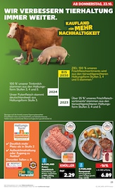 Rumpsteak im Kaufland Prospekt in Rottenburg Aktueller Kaufland Prospekt mit Rumpsteak, "Aktuelle Angebote", Seite 23