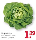 Angebot im E center Mainz Prospekt E center Mainz Prospekt mit im Angebot für 1,29 €