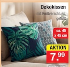 Dekokissen im aktuellen Zimmermann Prospekt