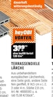 Terrassendiele Lärche im Angebot bei OBI in Hildesheim Terrassendiele Lärche Angebote bei OBI Hildesheim für 3,99 €