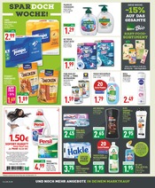 Shampoo im Marktkauf Prospekt in Detmold Aktueller Marktkauf Prospekt mit Shampoo, "Aktuelle Angebote", Seite 16