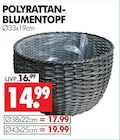 Aktuelle Blumentopf Angebote bei Wreesmann in Dresden Aktuelles Polyrattan-Blumentopf Angebot bei Wreesmann in Dresden ab 14,99 €