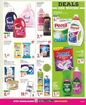 Persil im Marktkauf Prospekt in Dortmund Aktueller Marktkauf Prospekt mit Persil, "Aktuelle Angebote", Seite 19