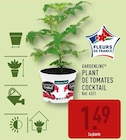 Plant de tomates cocktail - GARDENLINE - Aldi Plant de tomates cocktail - GARDENLINE à 1,49 € dans le catalogue Aldi