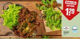 Wurzelsalat im REWE Prospekt Wurzelsalat von im aktuellen REWE Prospekt für 1,29 €