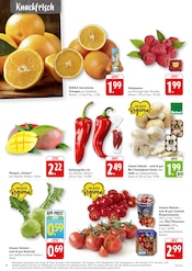 Tomaten im EDEKA Prospekt in Mannheim Aktueller EDEKA Prospekt mit Tomaten, "Aktuelle Angebote", Seite 4