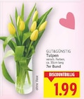 Tulpen von GUT&GÜNSTIG im aktuellen E center Prospekt