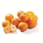 Mandarinen/ Clementinen, lose im aktuellen Prospekt bei Lidl in Jagstzell