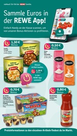 Tomaten im nahkauf Prospekt in Celle Aktueller nahkauf Prospekt mit Tomaten, "nichts liegt näher", Seite 6