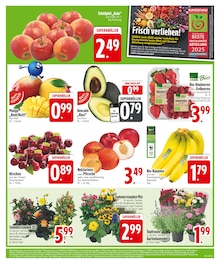 Erdbeeren im aktuellen EDEKA Prospekt (Augsburg) Erdbeeren im EDEKA Prospekt "Noch kein °Punktesammler? Hier direkt anmelden!" mit 30 Seiten (Augsburg)