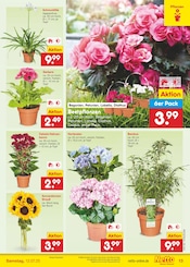 Bambus im Netto Marken-Discount Prospekt in Willich Aktueller Netto Marken-Discount Prospekt mit Bambus, "Aktuelle Angebote", Seite 15