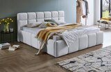 Polsterbett "ASCONA" im Angebot bei mömax in Schweinfurt Polsterbett "ASCONA" Angebote bei mömax Schweinfurt für 479,00 €