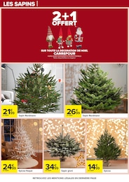 Offre Sapin Nordmann dans le catalogue Carrefour du moment à la page 78
