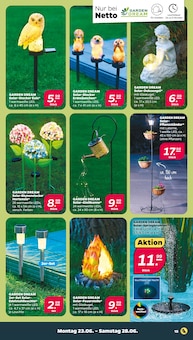 Hortensie Angebot im aktuellen Netto mit dem Scottie Prospekt auf Seite 19