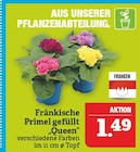 Marktkauf Naundorf Prospekt mit  im Angebot für 1,49 €