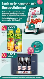 REWE Bier im Prospekt 