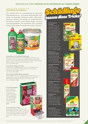 Aktueller RHG Baucentrum Prospekt mit Eis, "Der Katalog für Gartengestaltung, Gartenpflege und Gartenfreizeit.", Seite 219