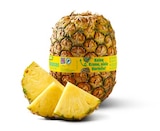 Penny Burgkirchen - Ananas ohne Krone Angebot im Prospekt Ananas ohne Krone bei Penny im Burgkirchen Prospekt für 1,69 €