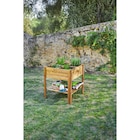 Carré potager sur pied à Carrefour Market dans Sorbo-Ocagnano