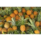 Ananas Extra Sweet - Carrefour Ananas Extra Sweet à 1,59 € dans le catalogue Carrefour