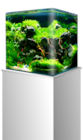 AQUARIUM NANOTANK CUBE SYSTEM 60 - AMTRA à 97,49 € dans le catalogue Animalis