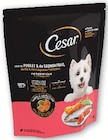 Croquettes pour petit chien - Cesar en promo chez Super U Metz à 3,76 €