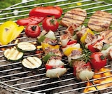 Trichtergrill Dalton bei Globus-Baumarkt im Unna Prospekt für 69,00 €