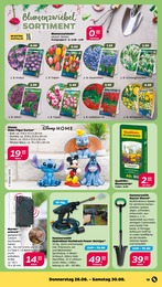 Blumen im Netto mit dem Scottie Prospekt Blumen im Netto mit dem Scottie Prospekt GĂĽnstig. Besser. FĂĽr Dich. auf S. 21