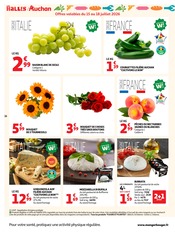 Jardinage en promo dans le catalogue Auchan Hypermarché à la page 16
