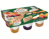 Yaourt nature sur lit de fruits - PANIER DE YAOURT en promo chez Supermarchés Match Meaux à 4,38 €