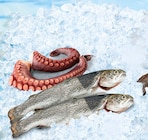 Regenbogen-Forelle Angebote bei Netto Marken-Discount Kirchheim für 1,19 €