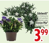 Edelweiß Angebote bei EDEKA Heidenheim für 3,99 €