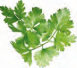 Schinken-Krustenbraten Angebote bei EDEKA Pinneberg für 4,99 €