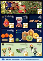 Aktueller Marktkauf Prospekt mit Orchidee, "Top Angebote", Seite 22